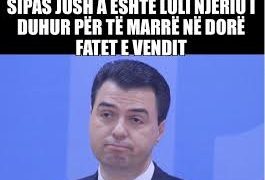 Nga kamarier në milioner! Zbardhet pasuria e Lulzim Bashës